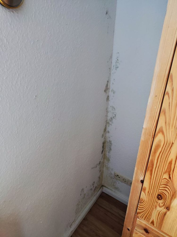 IMG20221213100147 IMG20221213100147