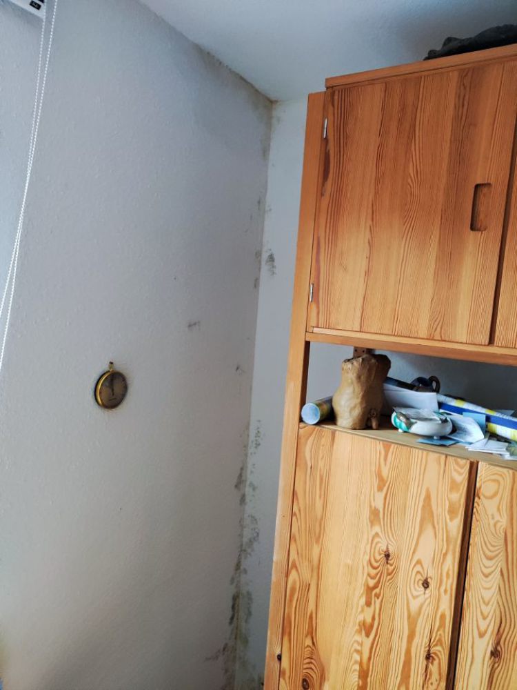 IMG20221213100158 IMG20221213100158