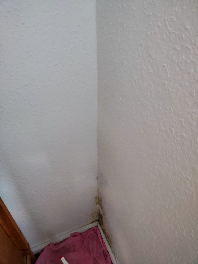 IMG20221213102142 IMG20221213102142