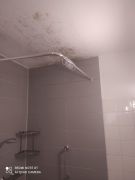 IMG20210618113352compress15